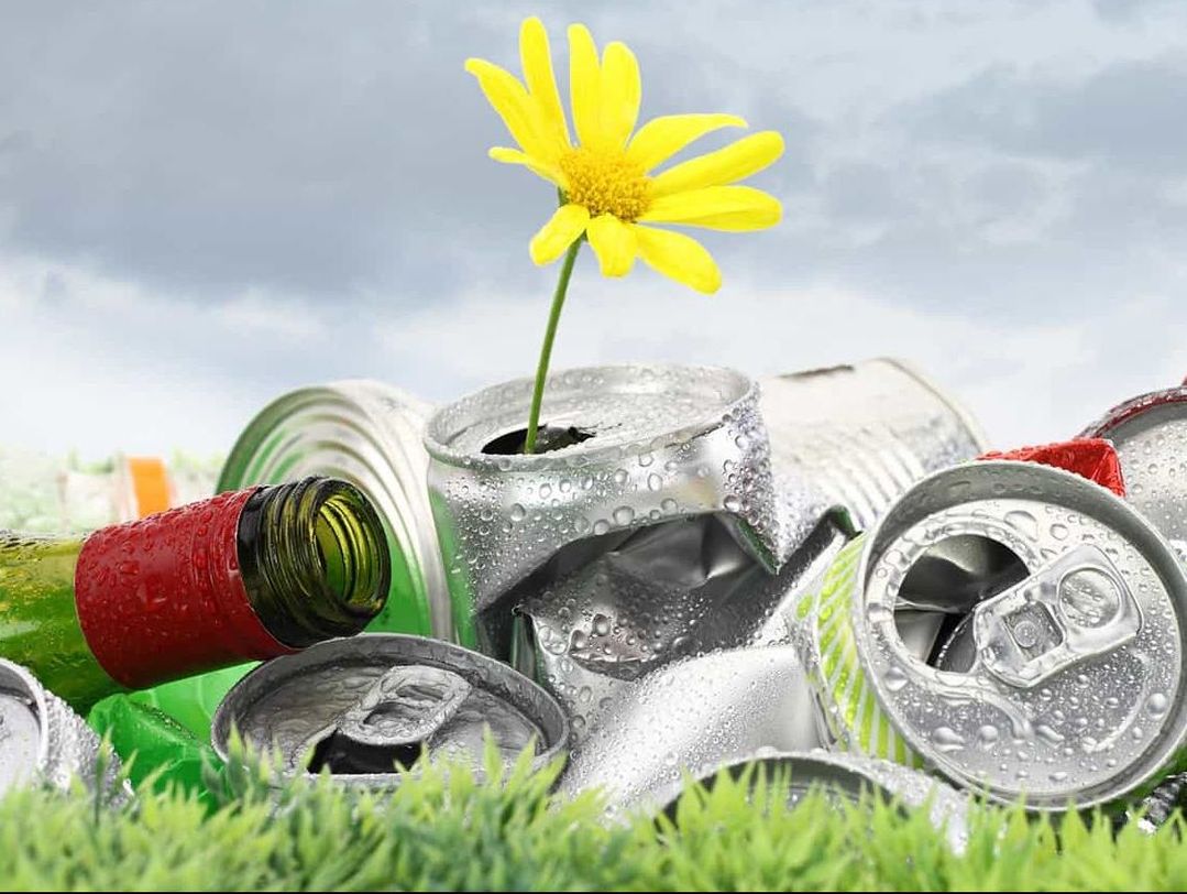 Illustrasjon av en blomst over aluminumsbokser