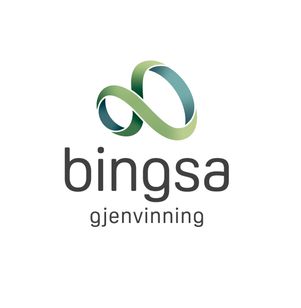 Bingsa logo